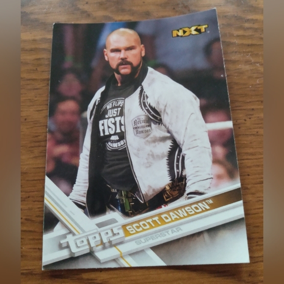 Set of 4 - Dasha Fuentes, Scott Dawson, Zack Ryder and The Miz Topps Cards - Picture 4 of 9